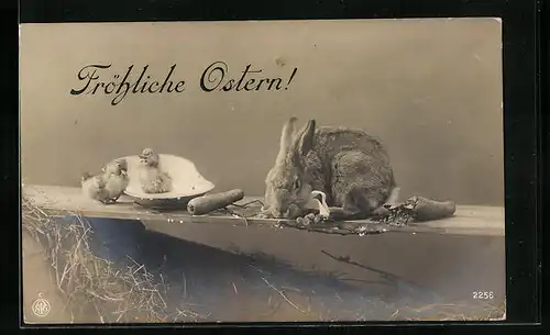 AK Fröhliche Ostern, Osterhase mit Küken