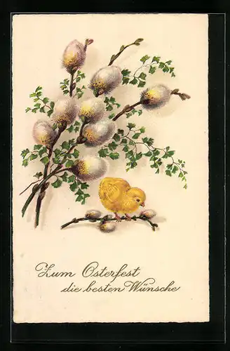 Künstler-AK Palmzweige mit Osterküken