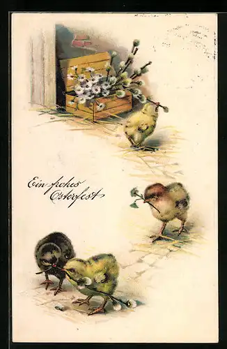 Präge-AK Osterküken mit Palmkätzchen zu Ostern
