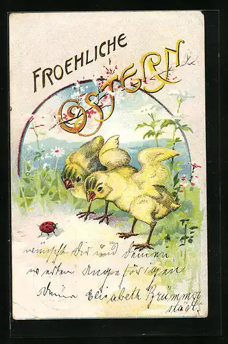 Künstler-AK Osterküken mit Marienkäfer