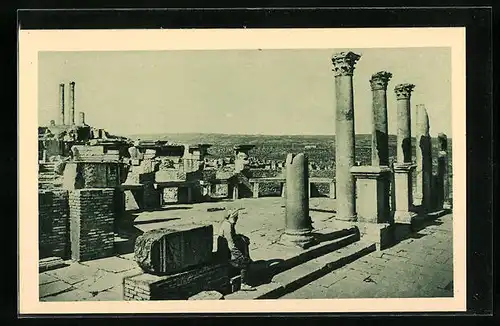 AK Timgad, Marché de Sertius