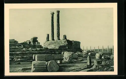 AK Timgad, Temple de Jupiter