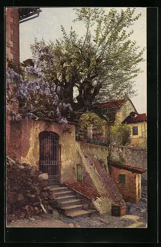 AK Lago Maggiore, Isola dei Pescatori