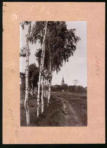 Fotografie Brück & Sohn Meissen, Ansicht Elsterwerda, Partie an der Elster mit Blick zur Stadt