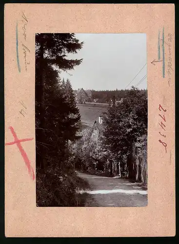 Fotografie Brück & Sohn Meissen, Ansicht Oberbärenburg i. Erzg., Strassenpartie mit Blick auf den Ort
