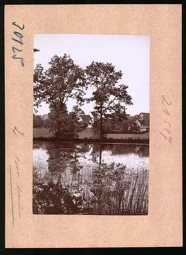 Fotografie Brück & Sohn Meissen, Ansicht Schmannewitz i. Sa., Partie am alten Teich mit Blick zum Ort