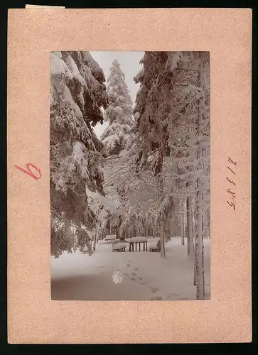 Fotografie Brück & Sohn Meissen, Ansicht Oberbärenburg i. Erzg., Rastplatz im verschneiten Winter Wald