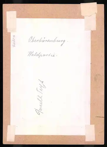 Fotografie Brück & Sohn Meissen, Ansicht Oberbärenburg i. Erzg., Rastplatz im verschneiten Winter Wald