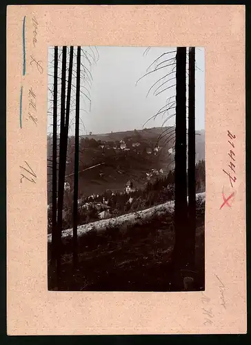 Fotografie Brück & Sohn Meissen, Ansicht Kipsdorf i. Erzg., Blick vom Wald auf den Ort