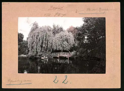 Fotografie Brück & Sohn Meissen, Ansicht Mittweida, Partie mit Ruderboot und Brücke am Schwanenteich