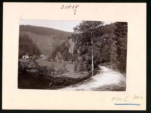 Fotografie Brück & Sohn Meissen, Ansicht Pobershau, Blick auf den Ort im Schwarzwassertal