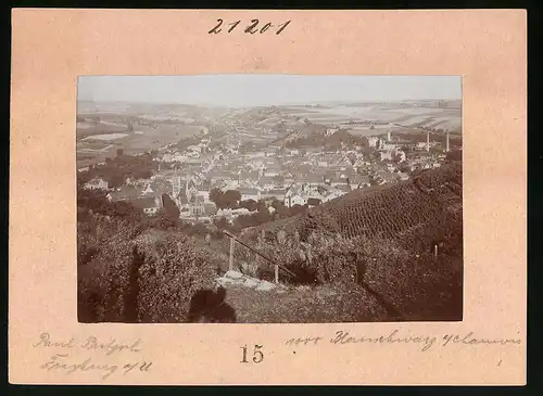 Fotografie Brück & Sohn Meissen, Ansicht Freyburg a. U., Blick auf die Stadt vom Schlüfter