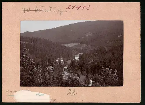 Fotografie Brück & Sohn Meissen, Ansicht Bärenburg i, Erzg., Blick in das Tal auf Wald-Bärenburg