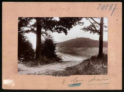 Fotografie Brück & Sohn Meissen, Ansicht Collm b. Oschatz, Feldweg mit Blick auf den Collmberg