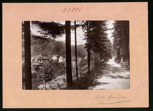Fotografie Brück & Sohn Meissen, Ansicht Kipsdorf, Waldweg mit Blick auf die Villen im Ort