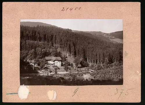 Fotografie Brück & Sohn Meissen, Ansicht Bärenburg i. Erzg., Blick auf das Hotel Schäfermühle