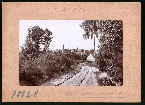 Fotografie Brück & Sohn Meissen, Ansicht Schmannewitz i. Sa., Feldweg mit Blick zum Ort, Rückseite mit Ansichtskarte