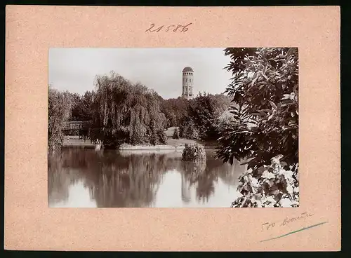 Fotografie Brück & Sohn Meissen, Ansicht Burgstädt i. Sa., Teichpartie im Wettinpark mit Blick zum Turm