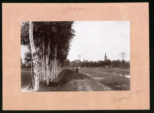 Fotografie Brück & Sohn Meissen, Ansicht Elsterwerda, Birkenpartie an der Elster mit Blick auf die Kirche