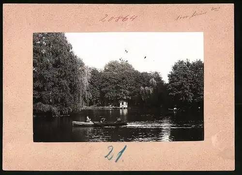 Fotografie Brück & Sohn Meissen, Ansicht Mittweida, Blick auf den Schwanenteich mit Ruderbooten