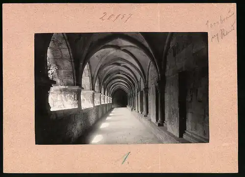 Fotografie Brück & Sohn Meissen, Ansicht Naumburg a. Saale, Blick in den Kreuzgang im Dom