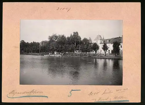 Fotografie Brück & Sohn Meissen, Ansicht Apolda, Blick auf die Herresener Strasse am Lohteich