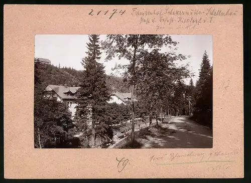 Fotografie Brück & Sohn Meissen, Ansicht Schellerhau, Partie im Ort mit der Schellermühle