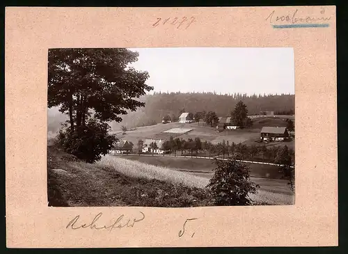 Fotografie Brück & Sohn Meissen, Ansicht Rehefeld i. Erzg., Blick auf den Ort mit Wohnhäusern
