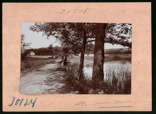Fotografie Brück & Sohn Meissen, Ansicht Schmannewitz, Feldweg am alten Teich
