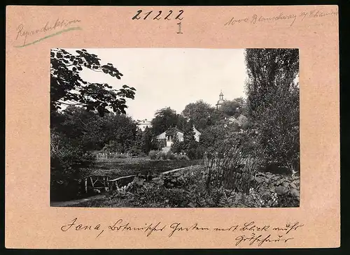 Fotografie Brück & Sohn Meissen, Ansicht Jena, Partie im botanischen Garten mit dem Goethehäuschen