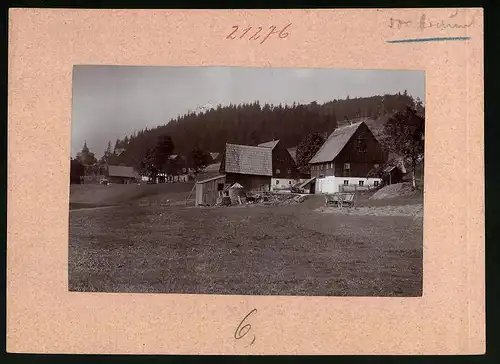 Fotografie Brück & Sohn Meissen, Ansicht Rehefeld i. Erzg., Partie im Ort mit Wohnhäusern