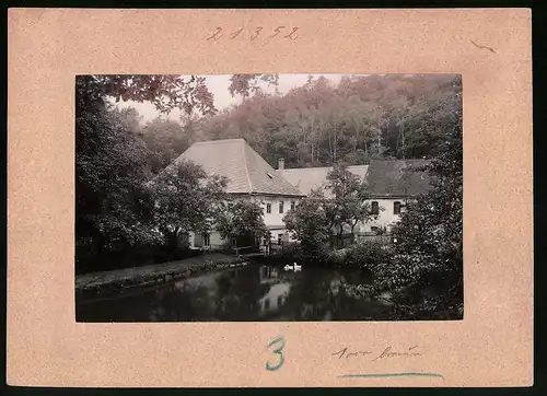 Fotografie Brück & Sohn Meissen, Ansicht Waldenburg i. Sa., Flusspartie an der Glänzelmühle