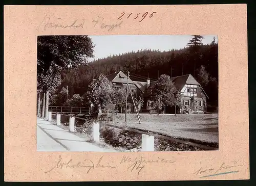 Fotografie Brück & Sohn Meissen, Ansicht Bärenfels im Erzg., Partie mit Blick auf das Erholungsheim Waldwiese