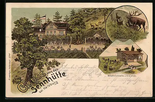 Lithographie Harzburg, Gasthaus Sennhütte, Milchtrinkhalle u. d. Eichen, Hirsch und Rehe
