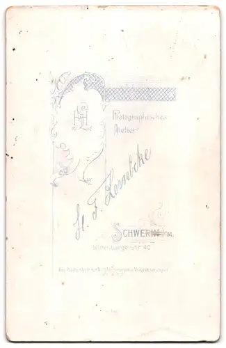 Fotografie H. F. Lembcke, Schwerin i. M., Wittenburgerstr. 40, Bürgerliche Dame mit Medaillon