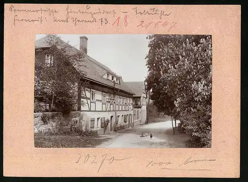 Fotografie Brück & Sohn Meissen, Ansicht Hintergersdorf, Partie am Gasthaus Thalmühle, Hühner auf der Strasse