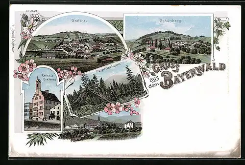 Lithographie Grafenau /Bayerwald, Teilansicht, Schönberg, Kuppe des Lusen