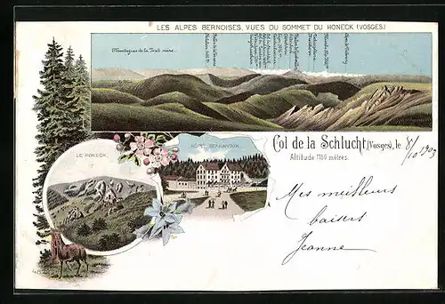 Lithographie Col de la Schlucht, Hotel Defranoux, Le Honeck, Les Alpes Bernoises