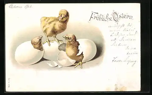 Künstler-AK Osterküken schlüpfen aus den Eiern zu Ostern