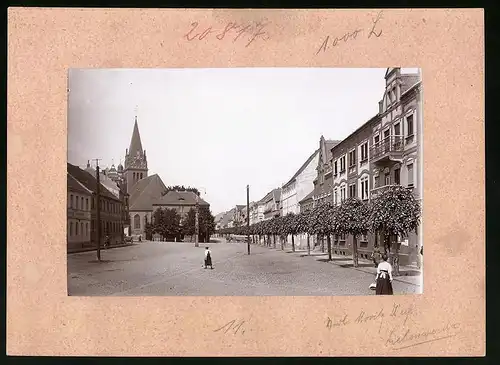 Fotografie Brück & Sohn Meissen, Ansicht Liebenwerda, Blick auf den Rossmarkt, Geschäft Reinhold Thielemann, Zahn-Atelier