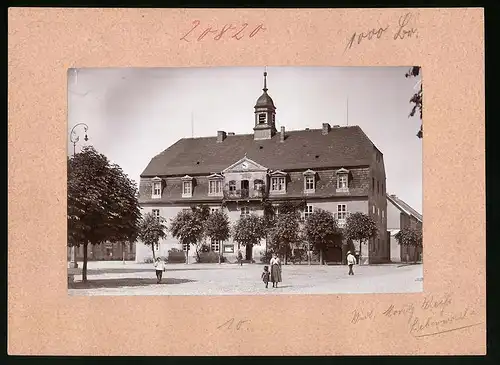 Fotografie Brück & Sohn Meissen, Ansicht Liebenwerda, Blick auf das Rathaus mit Ratskeller
