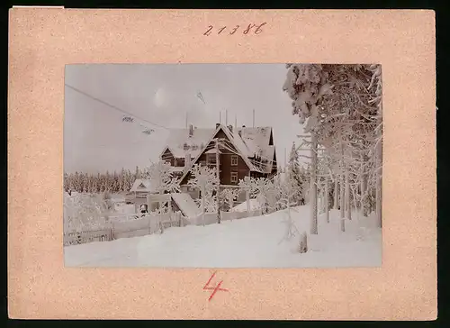 Fotografie Brück & Sohn Meissen, Ansicht Oberbärenburg i. Erzg., Berghotel Friedrichshöhe im Winterkleid