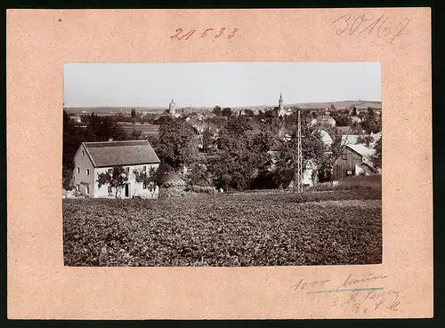 Fotografie Brück & Sohn Meissen, Ansicht Mügeln Bez. Leipzig, Blick auf den Ort von den Feldern aus gesehen