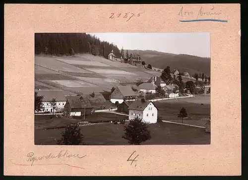 Fotografie Brück & Sohn Meissen, Ansicht Rehefeld i. Erzg., Blick auf den Ort mit Jagdschloss