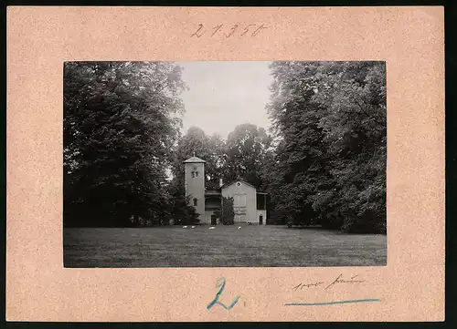 Fotografie Brück & Sohn Meissen, Ansicht Waldenburg i. Sa., Blick in den Park Grünefeld