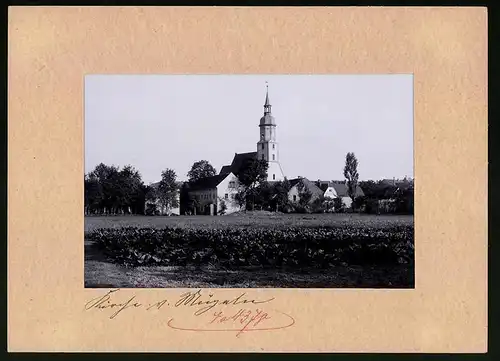 Fotografie Brück & Sohn Meissen, Ansicht Mügeln Bez. Leipzig, Blick auf die Kirche