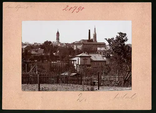 Fotografie Brück & Sohn Meissen, Ansicht Grossenhain i. Sa., Blick von einem Garten in die Stadt mit Kirche