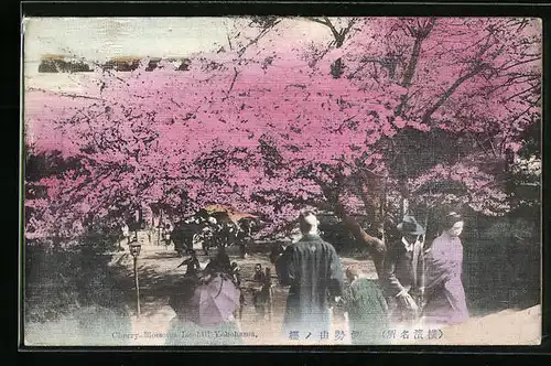 Seiden-AK Yokohama, Cherry-Blossoms Ise Hill