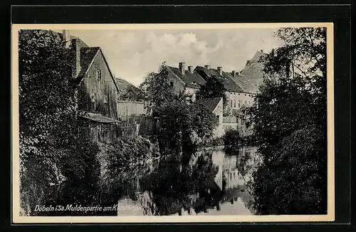 AK Döbeln i. Sa., Muldenpartie am Klostergut