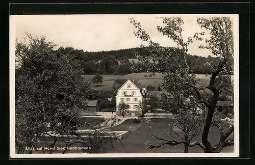 AK Grasellenbach i. Odenwald, Ansicht des Hotels Siegfriedbrunnen